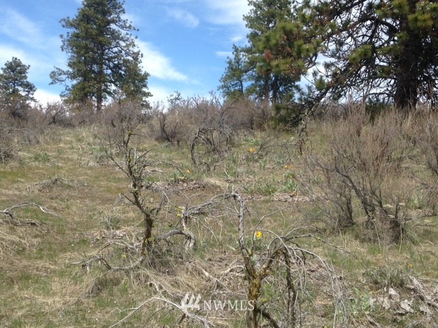 0 Coyote Trail Road Manson, WA 98831 - Photo 5 of 21 Gallery Image 5