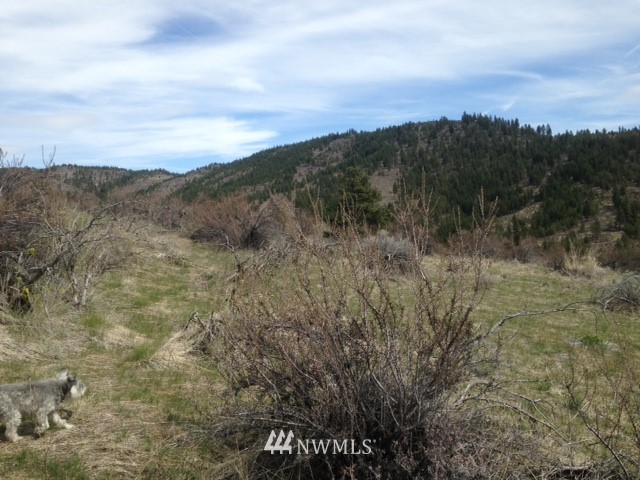 0 Coyote Trail Road Manson, WA 98831 - Photo 6 of 21 Gallery Image 6