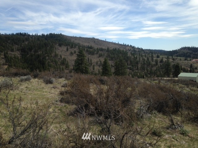 0 Coyote Trail Road Manson, WA 98831 - Photo 7 of 21 Gallery Image 7
