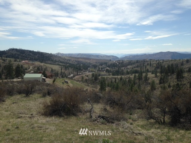 0 Coyote Trail Road Manson, WA 98831 - Photo 8 of 21 Gallery Image 8