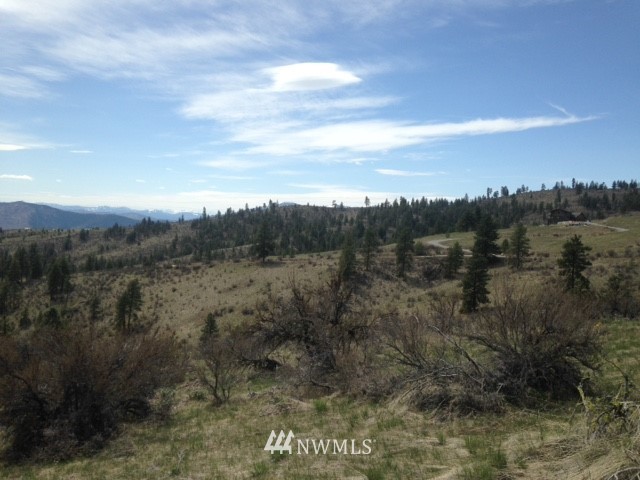 0 Coyote Trail Road Manson, WA 98831 - Photo 9 of 21 Gallery Image 9