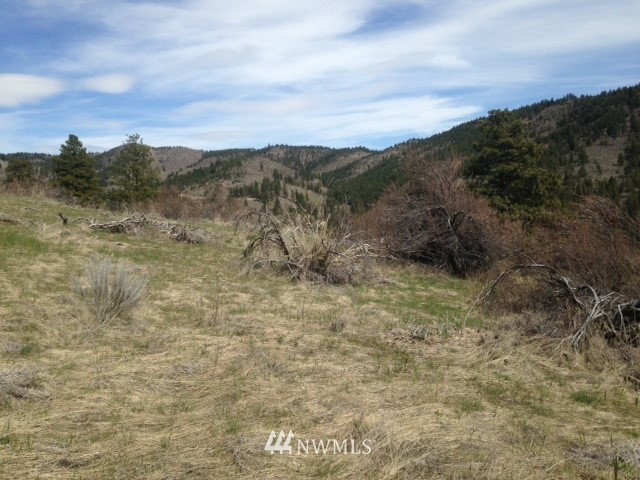 0 Coyote Trail Road Manson, WA 98831 - Photo 10 of 21 Gallery Image 10