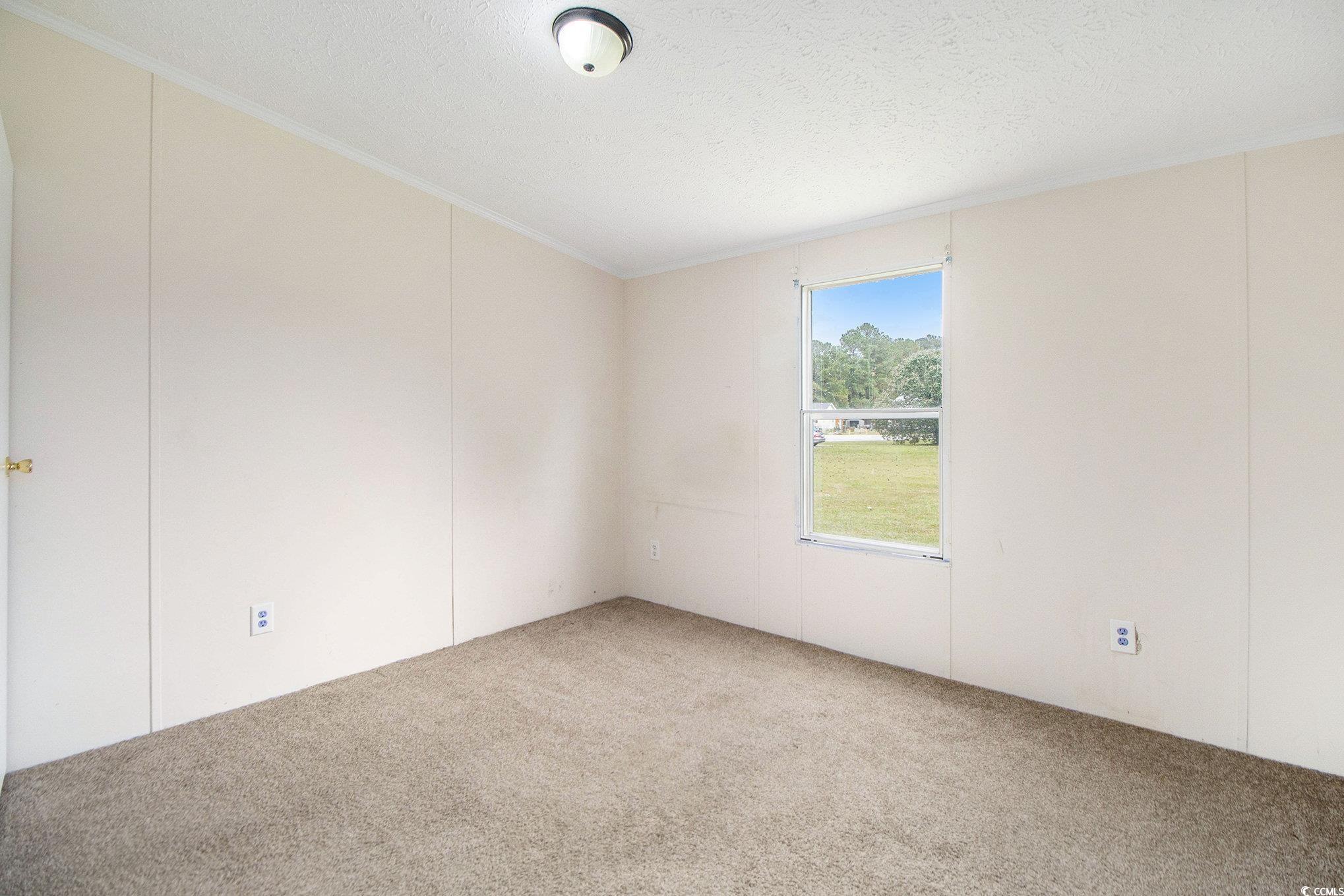 3804 Stern Drive Conway, SC 29526 - Photo 28 of 38 Unfurnished room featuring carpet, a textured ceiling, and ornamental molding