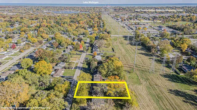 wooden floor with a dry trees in front of it