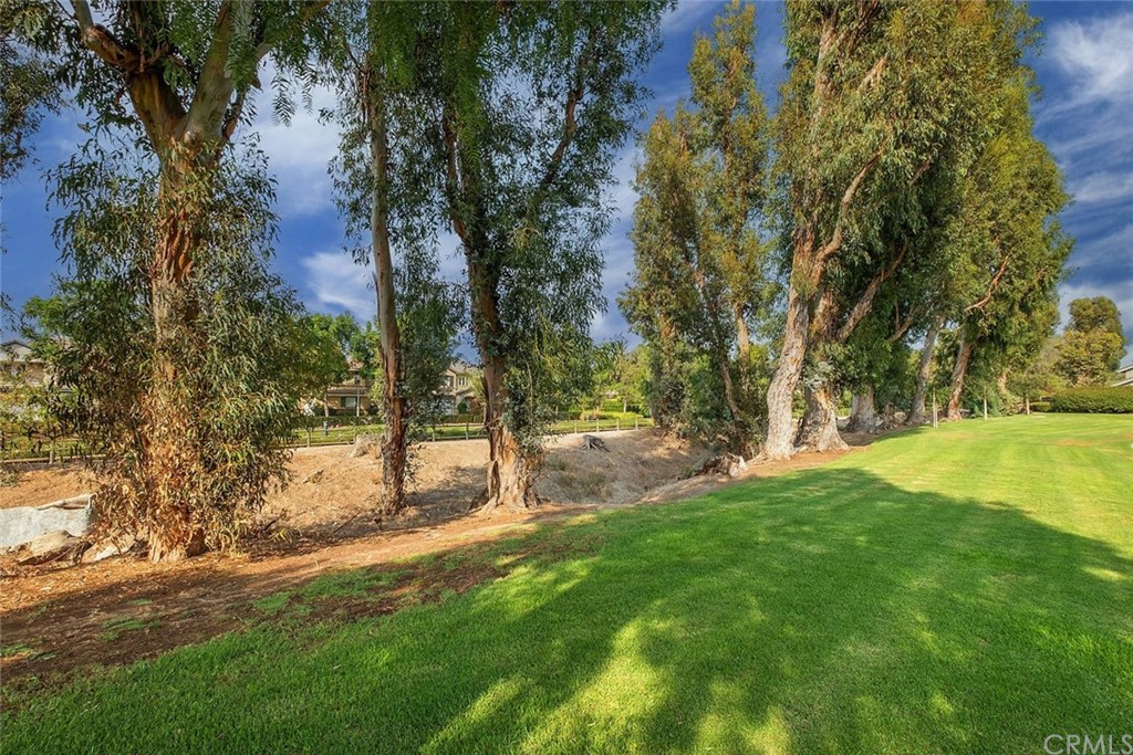 3 Descanso Irvine, CA 92620 - Photo 41 of 54 a view of backyard with tree