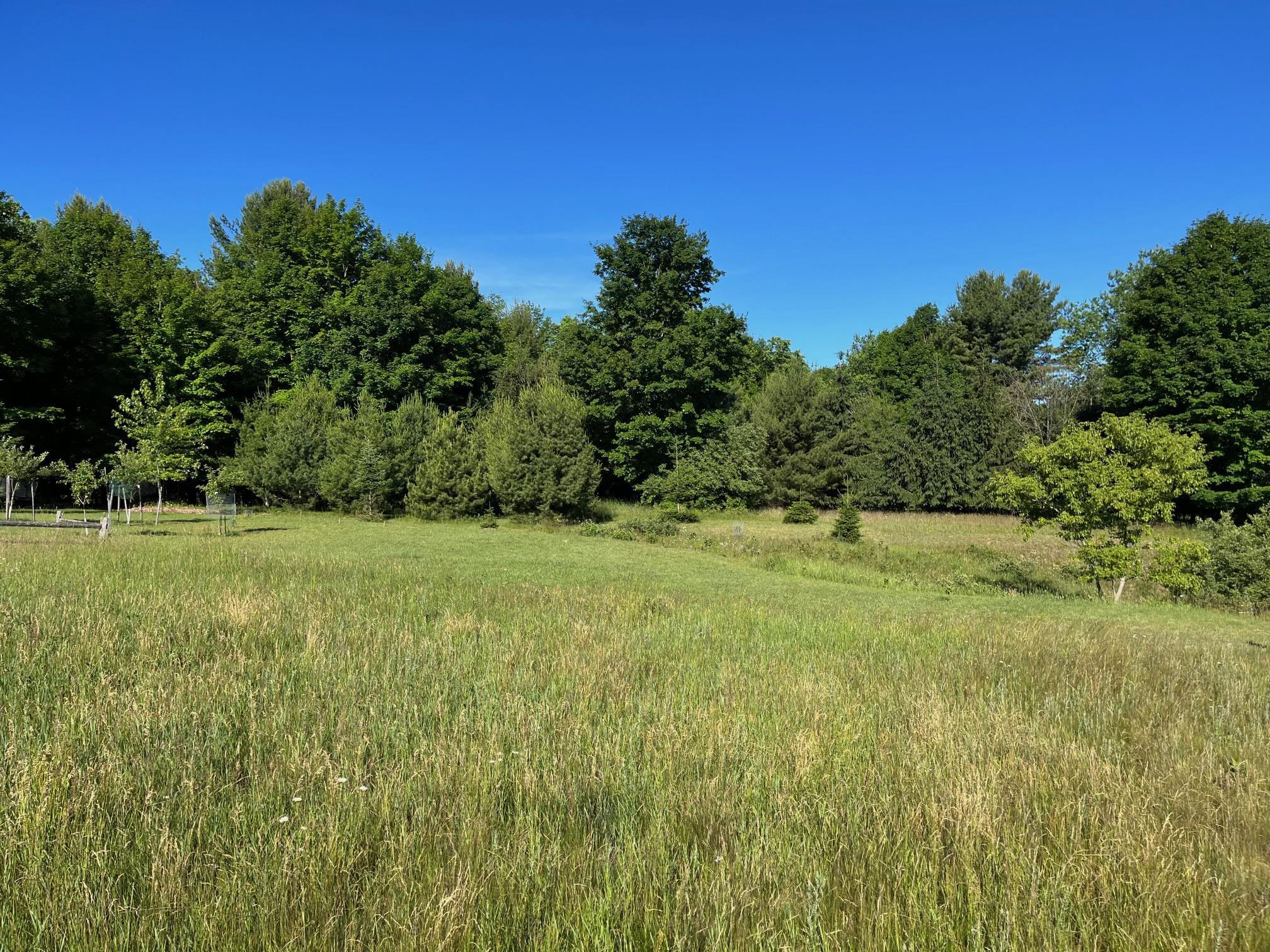 73 South Roen Drive, Unit LOT: 73 Empire, MI 49630 - Photo 4 of 12