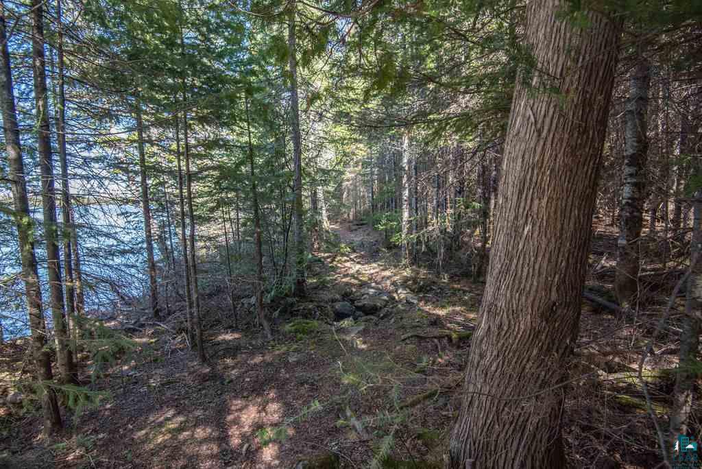 29 Moose Ridge Road Grand Marais, MN 55604 - Photo 10 of 28