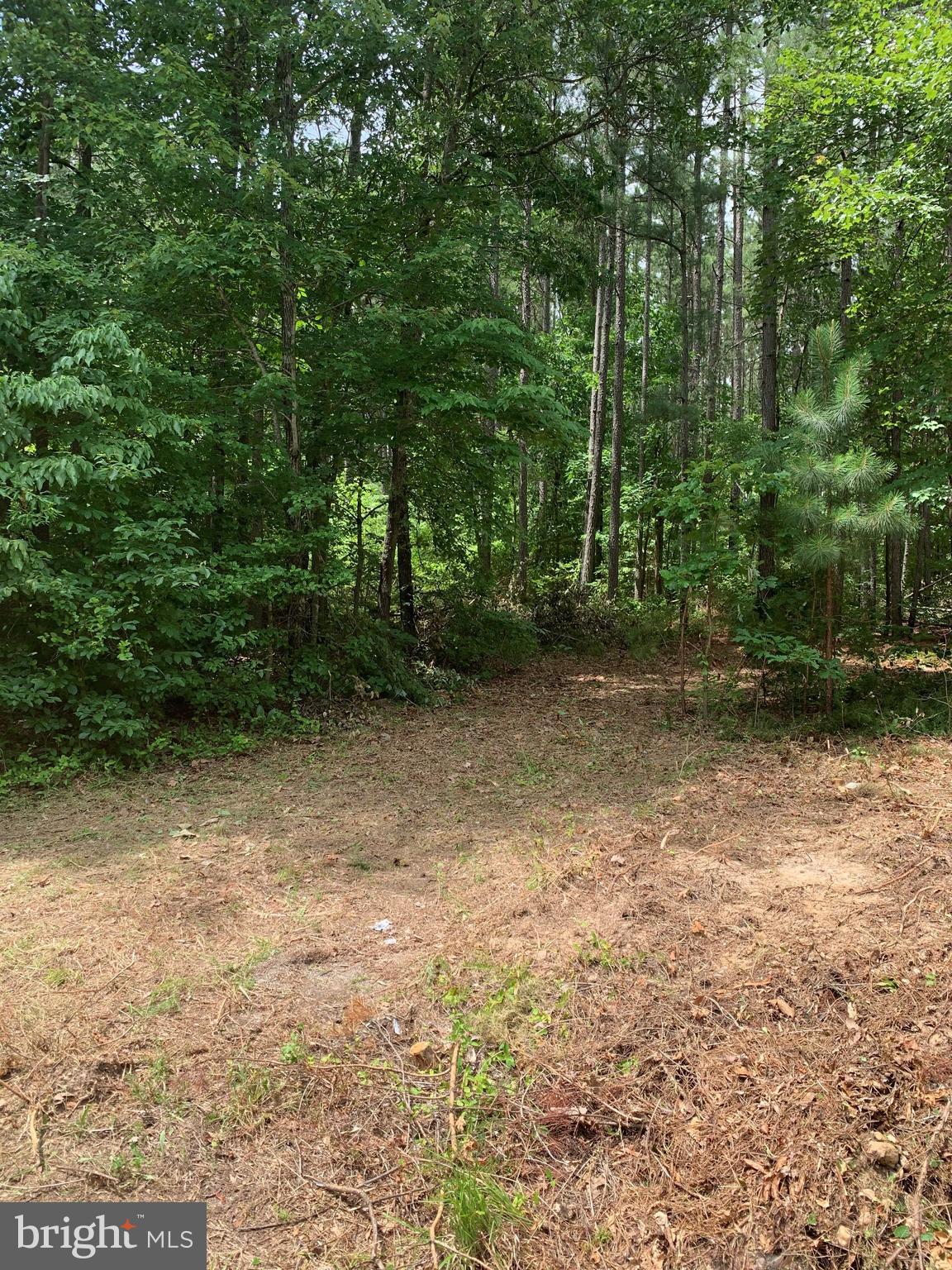 1.68 Acres Road Mineral, VA 23117 - Photo 3 of 6 Gallery Image 3