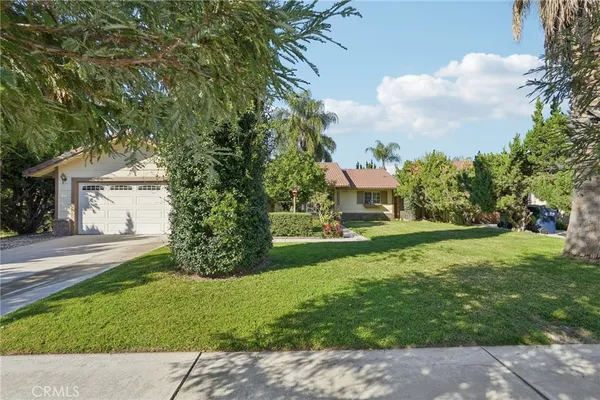 a view of a yard with plants and a fountain