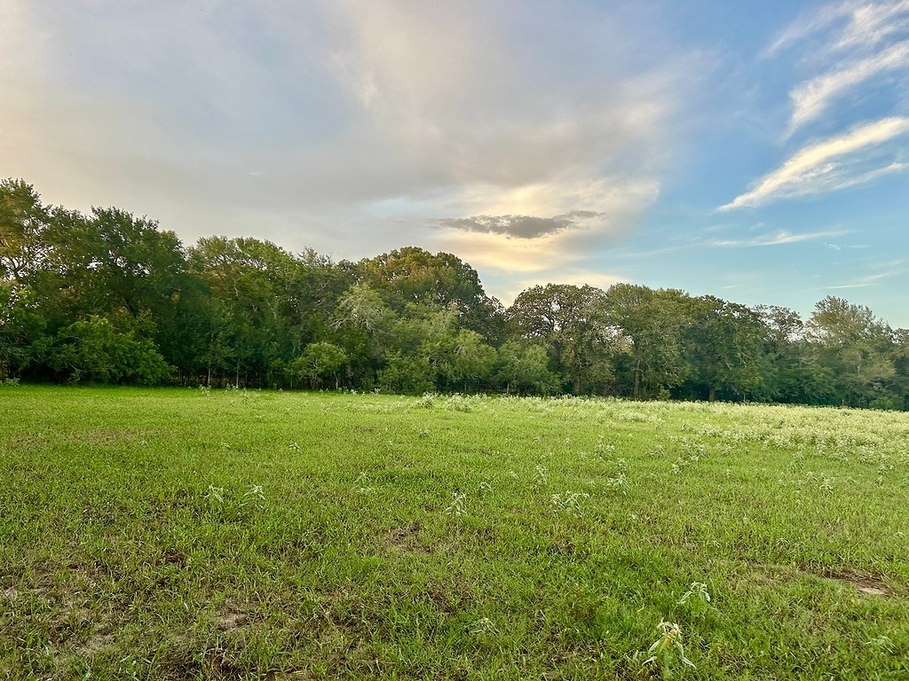 9590 Maynard Hallmark Road Flatonia, TX 78941 - Photo 6 of 31