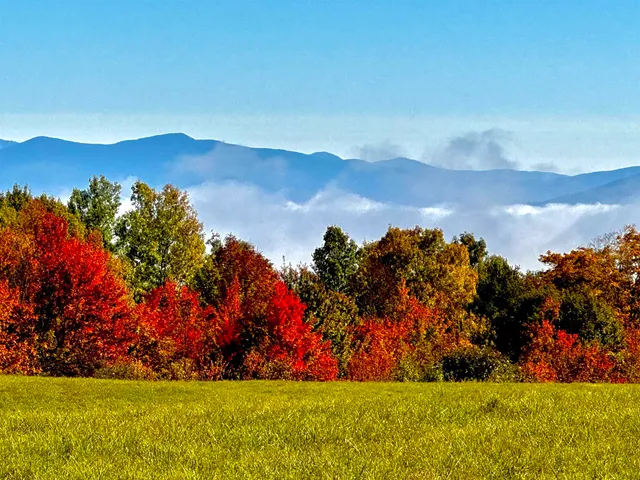 $385,000 | 523 Brock Hill Road, Newbury, VT 05051
