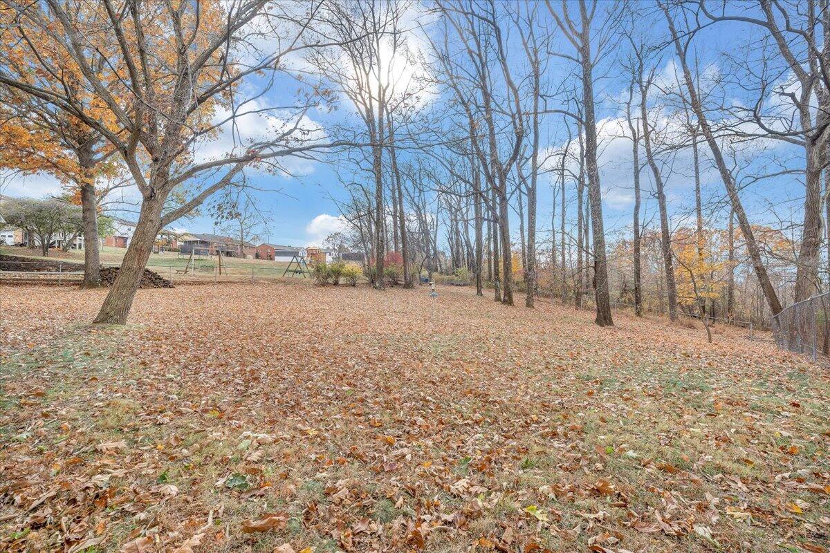 709 Olney Road Vinton, VA 24179 - Photo 34 of 41 a view of yard with trees