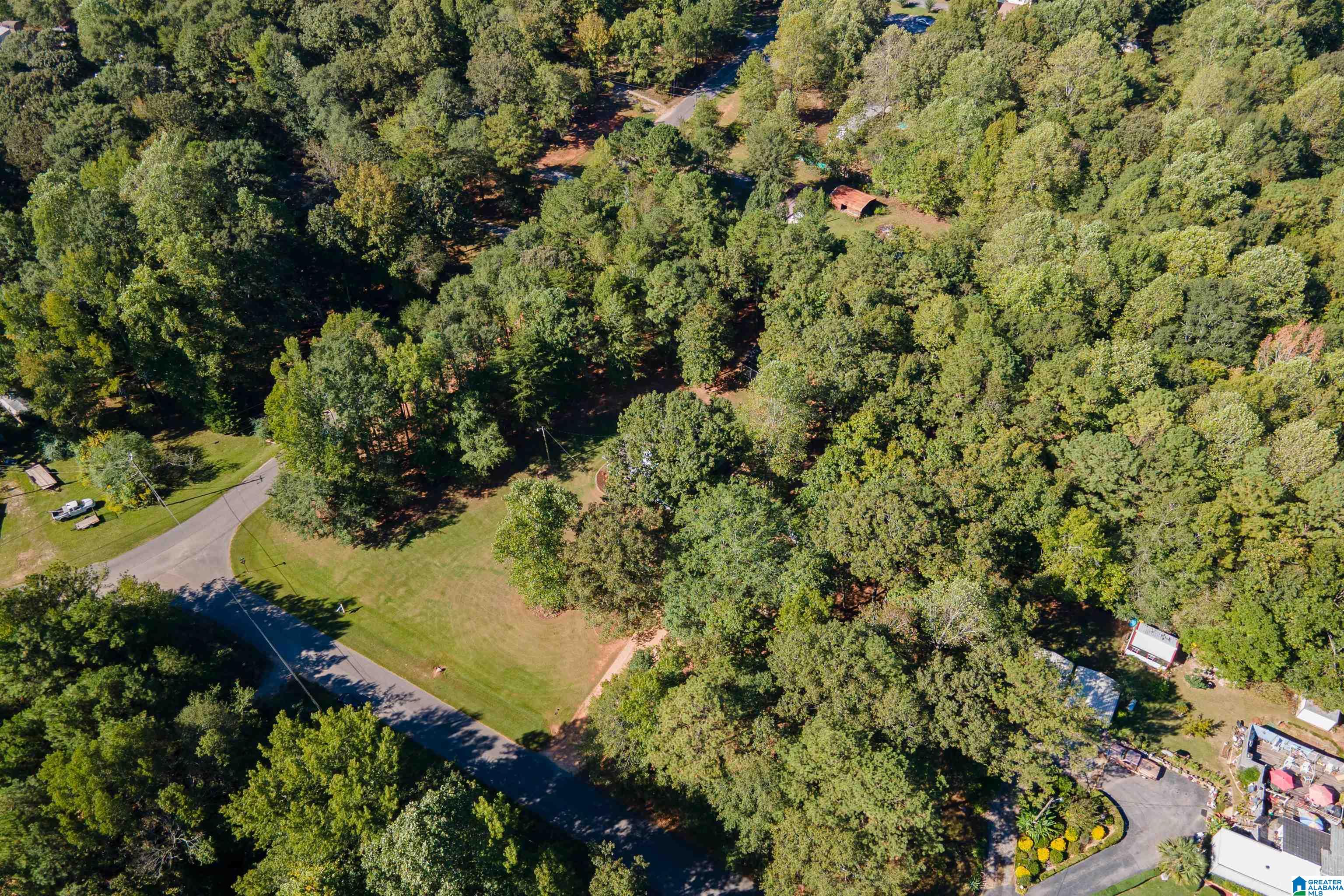 22370 Trace Road McCalla, AL 35111 - Photo 46 of 51
