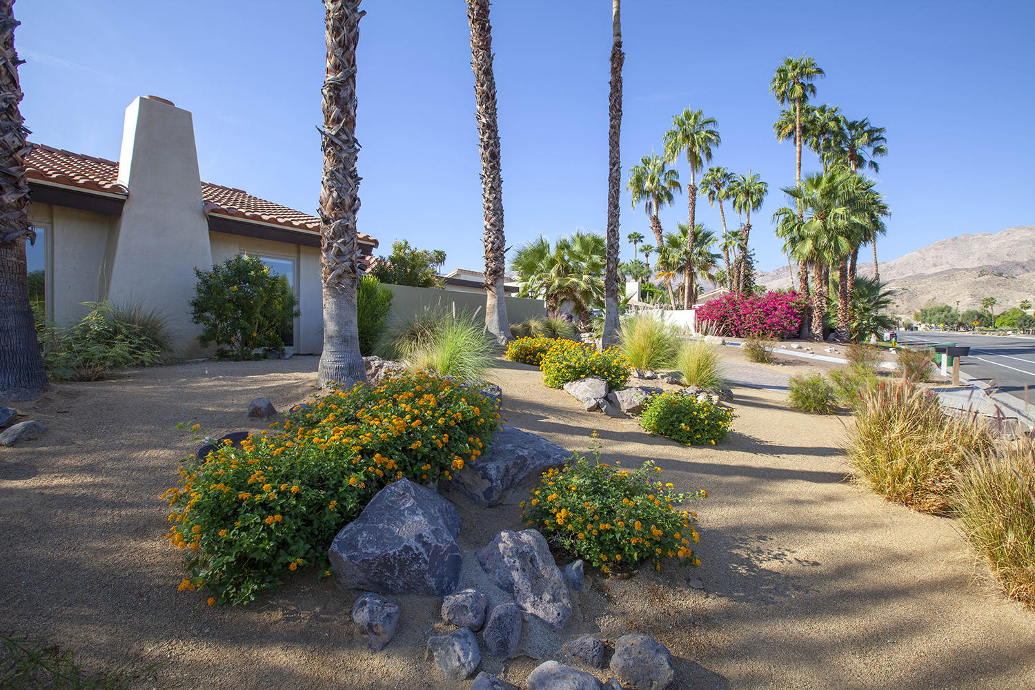 72861 Haystack Road Palm Desert, CA 92260 - Photo 6 of 45 a bunch of flowers in front of the house