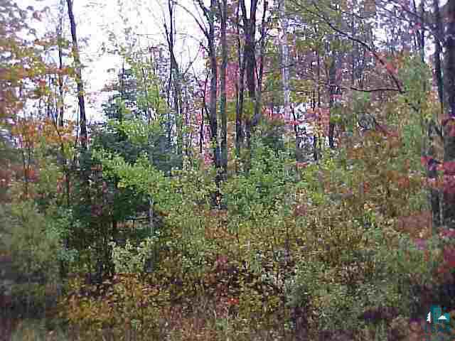 8700 Bennett Road Solon Springs, WI 54873 - Photo 1 of 1