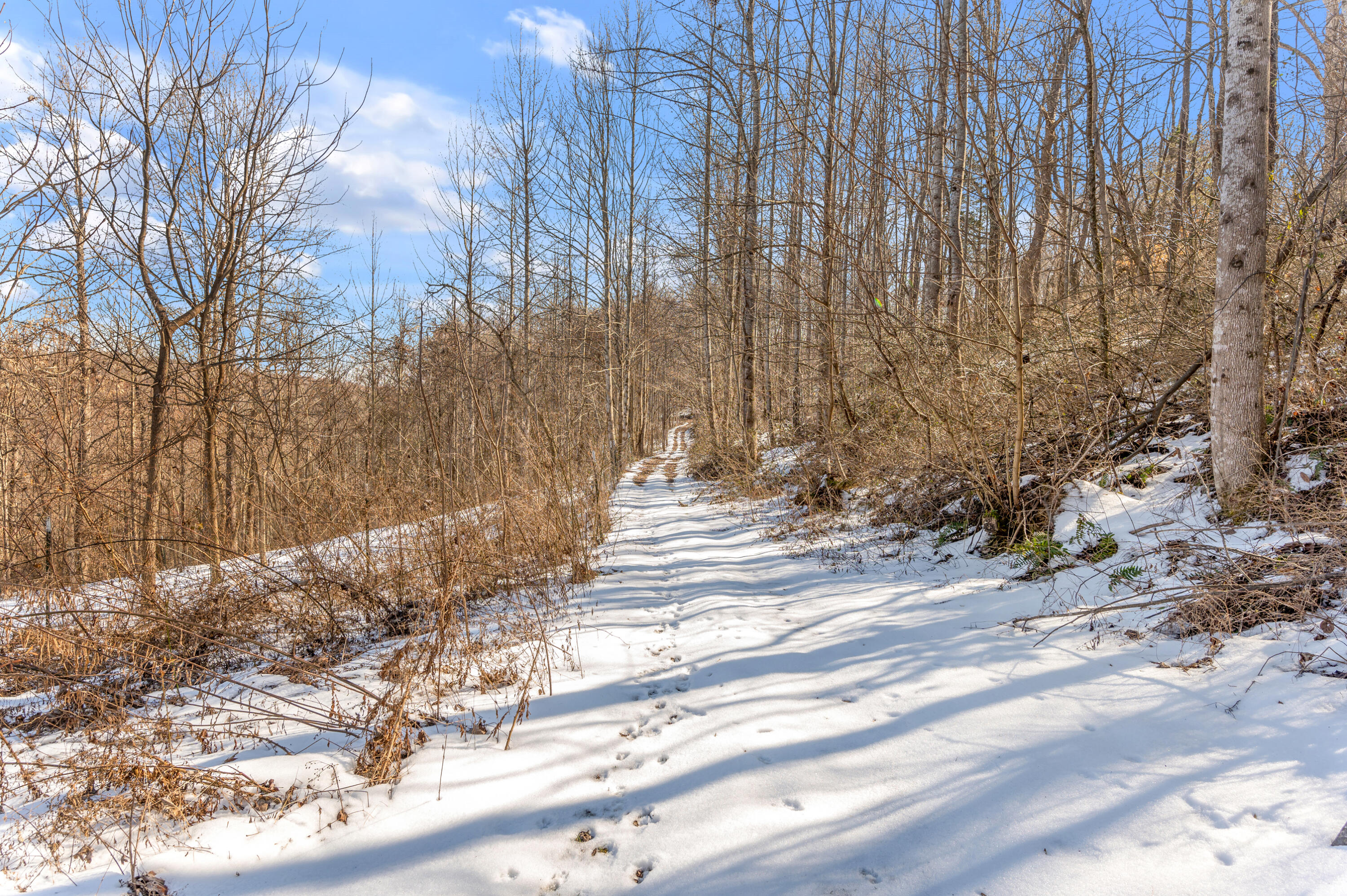 772 Big Cave Road Orlando, KY 40460 - Photo 59 of 59 TDB_6760