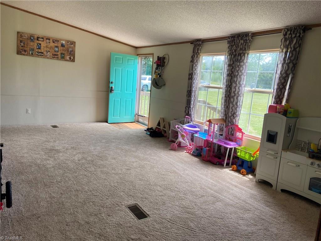 1728 Smith Adkins Road Staley, NC 27355 - Photo 4 of 13