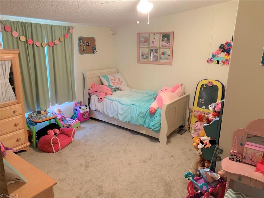 1728 Smith Adkins Road Staley, NC 27355 - Photo 10 of 13