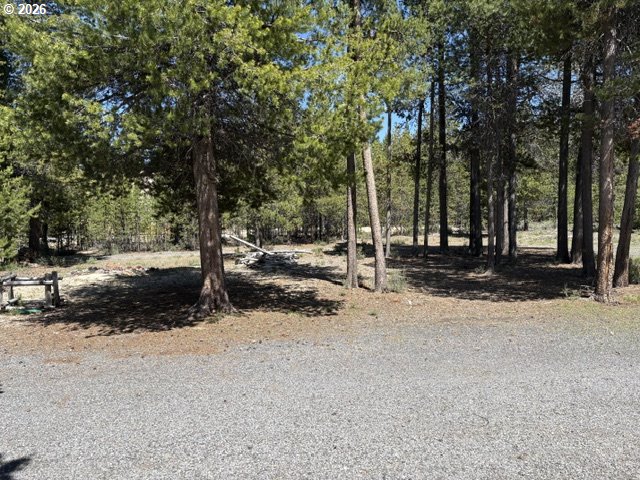 124625 Bunny Butte Road Crescent Lake, OR 97733 - Photo 47 of 47