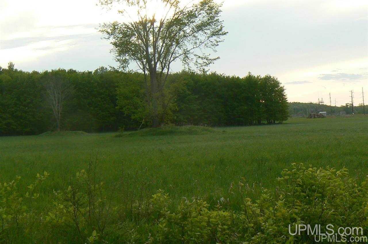 Tbd Benson 53 Acres Road Chatham, MI 49816 - Photo 6 of 10