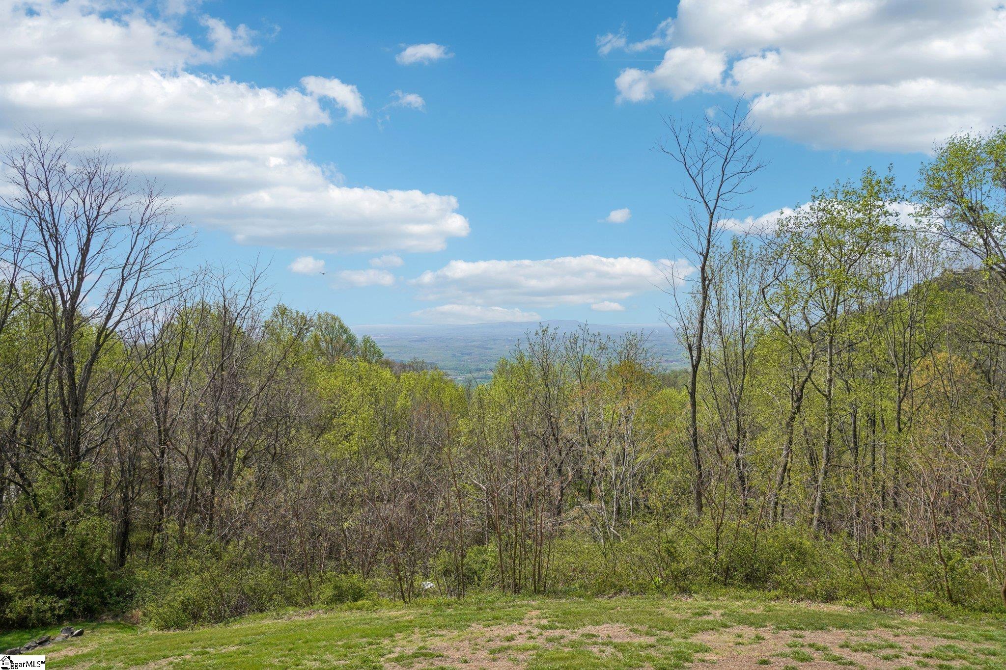 68 Raven Road Landrum, SC 29356 - Photo 39 of 49