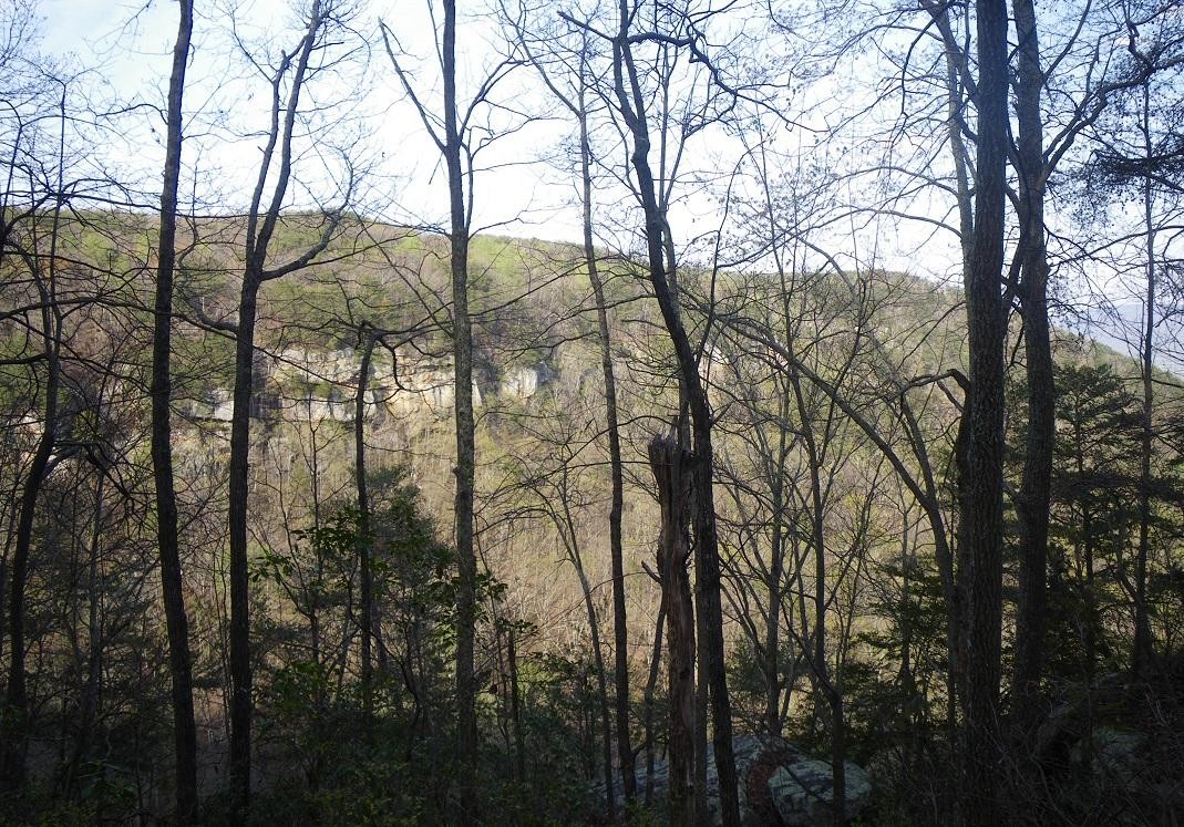 0 Camp Road Dunlap, TN 37327 - Photo 8 of 10