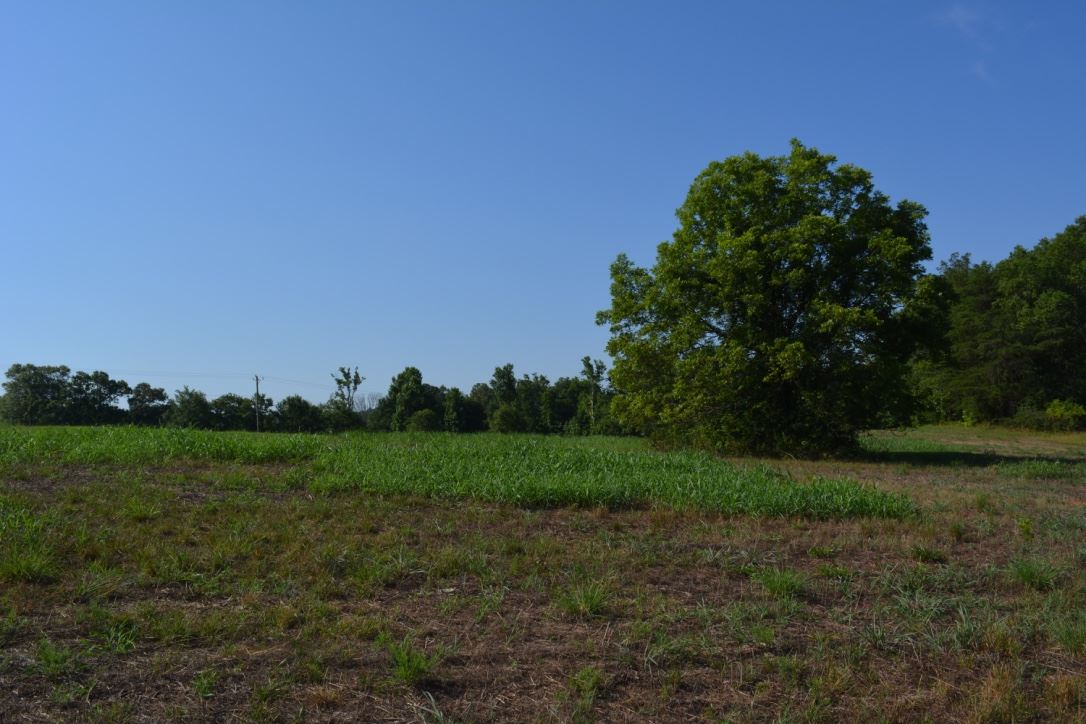 Lot 3 Gramling School Road Inman, SC 29349 - Photo 17 of 24