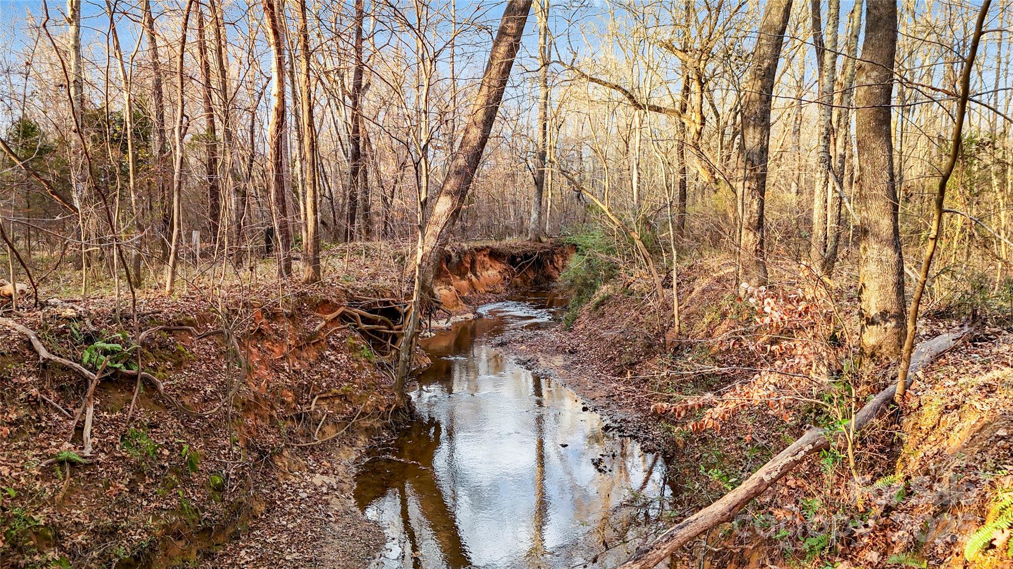 9501 Bartlett Road Mint Hill, NC 28227 - Photo 11 of 48 a picture of trees