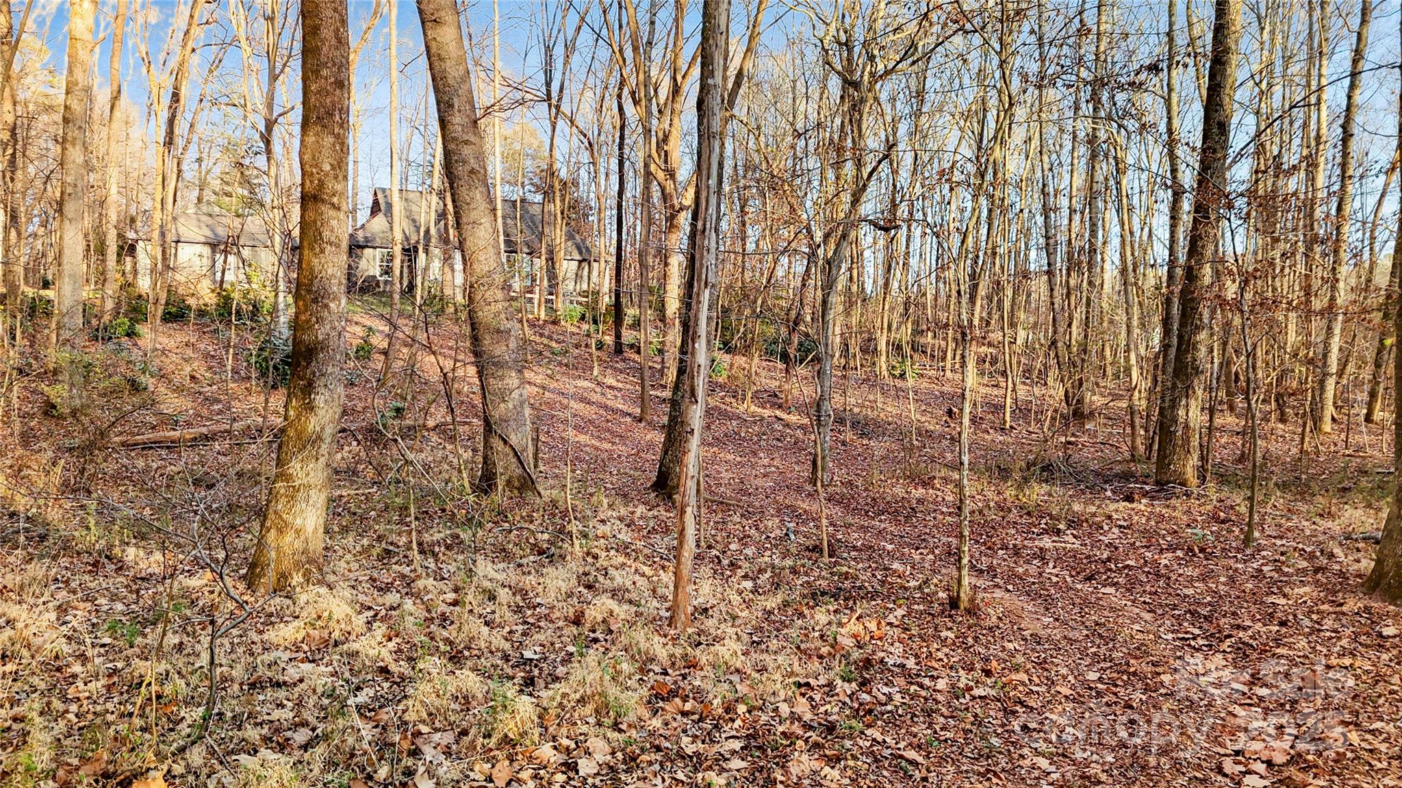 9501 Bartlett Road Mint Hill, NC 28227 - Photo 15 of 48 a view of a yard with plants and a trees