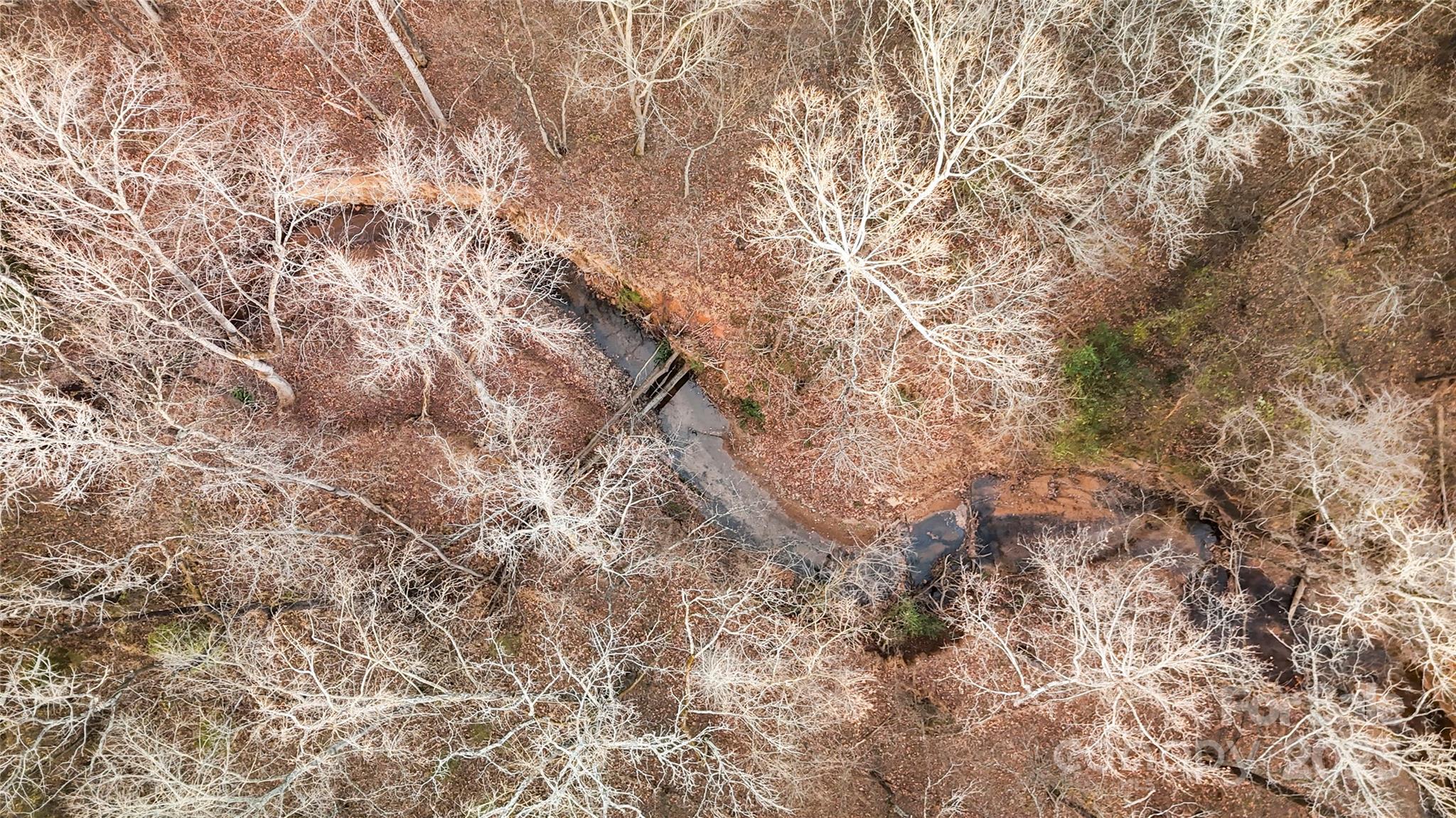 9501 Bartlett Road Mint Hill, NC 28227 - Photo 46 of 48 a view of a yard with a tree
