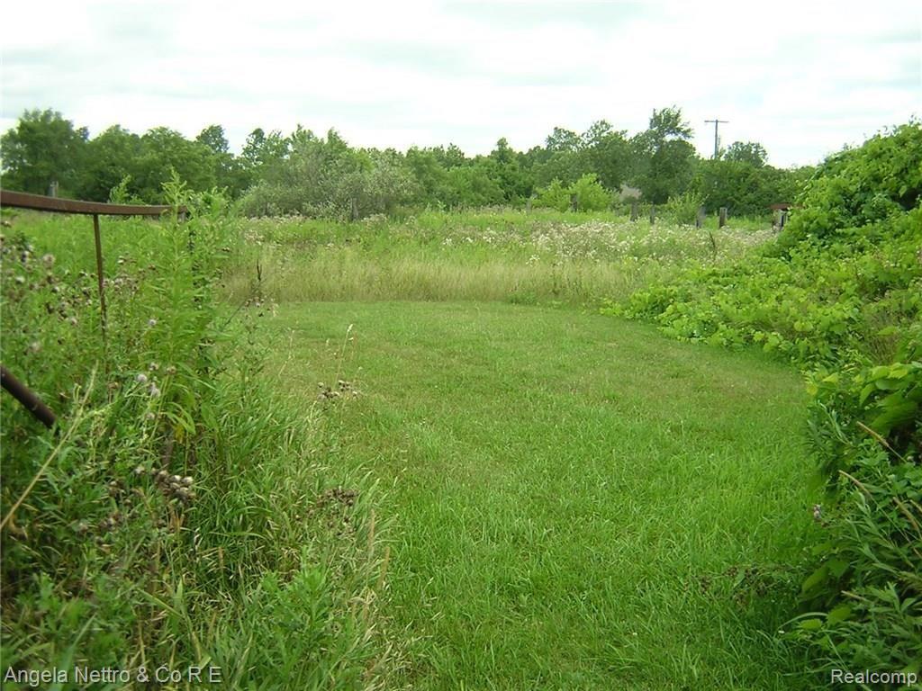 48876 Bemis Road Belleville, MI 48111 - Photo 9 of 10