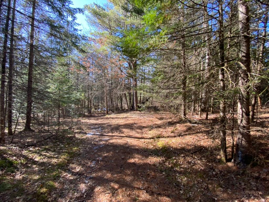 Lot14-15 Ryan Rpds Bluff Rhinelander, WI 54501 - Photo 9 of 16 Gallery Image 9
