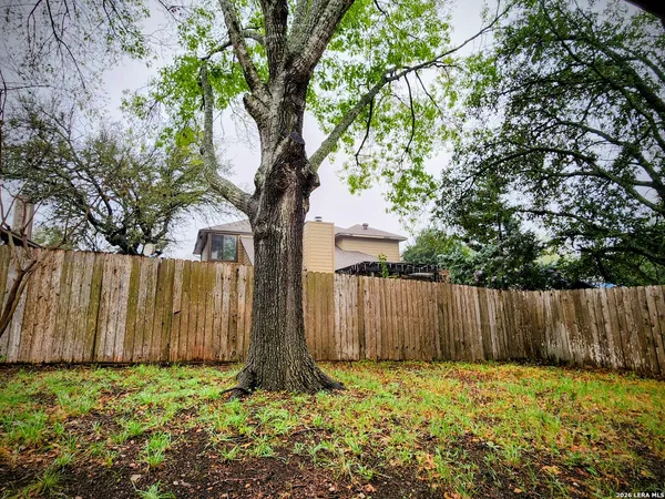 a view of a backyard with chairs and a large tree
