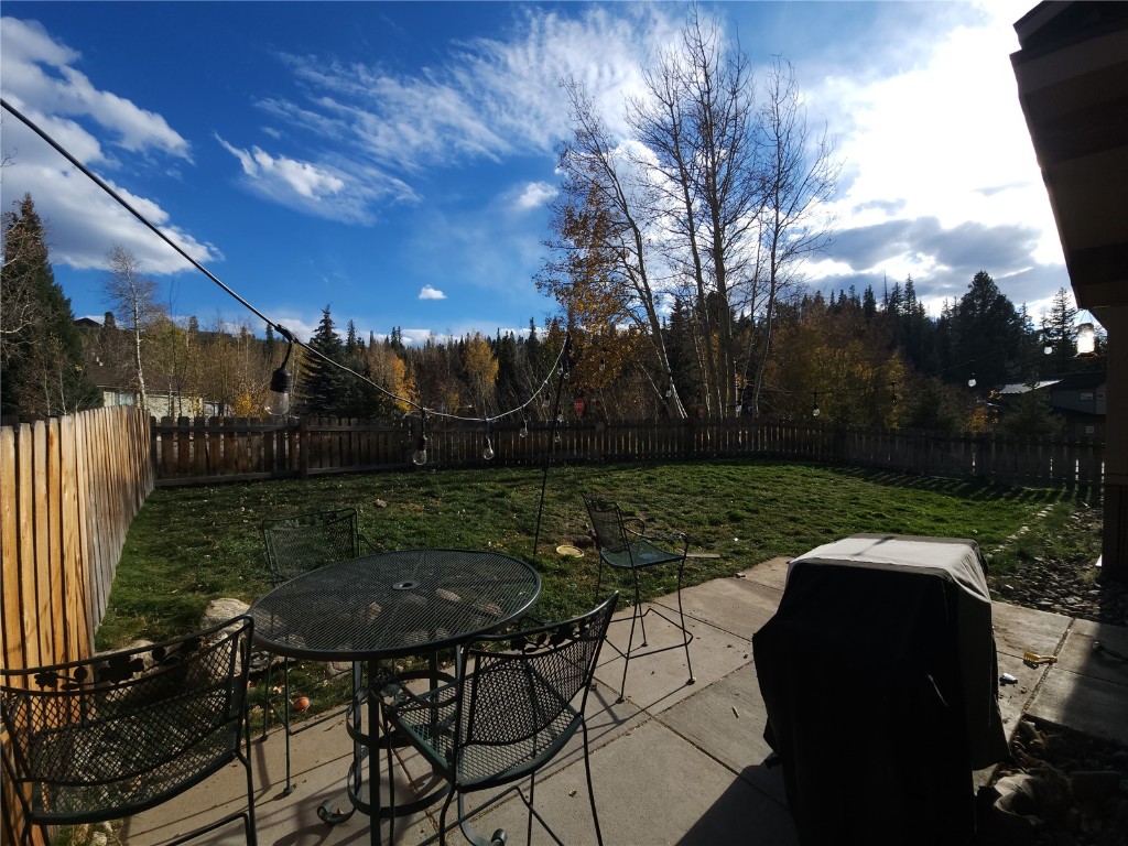 22 Ermine Road Dillon, CO 80435 - Photo 6 of 17 a view of outdoor space yard and patio