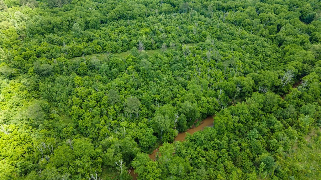 3 State Highway Calhoun, TN 37309 - Photo 3 of 9