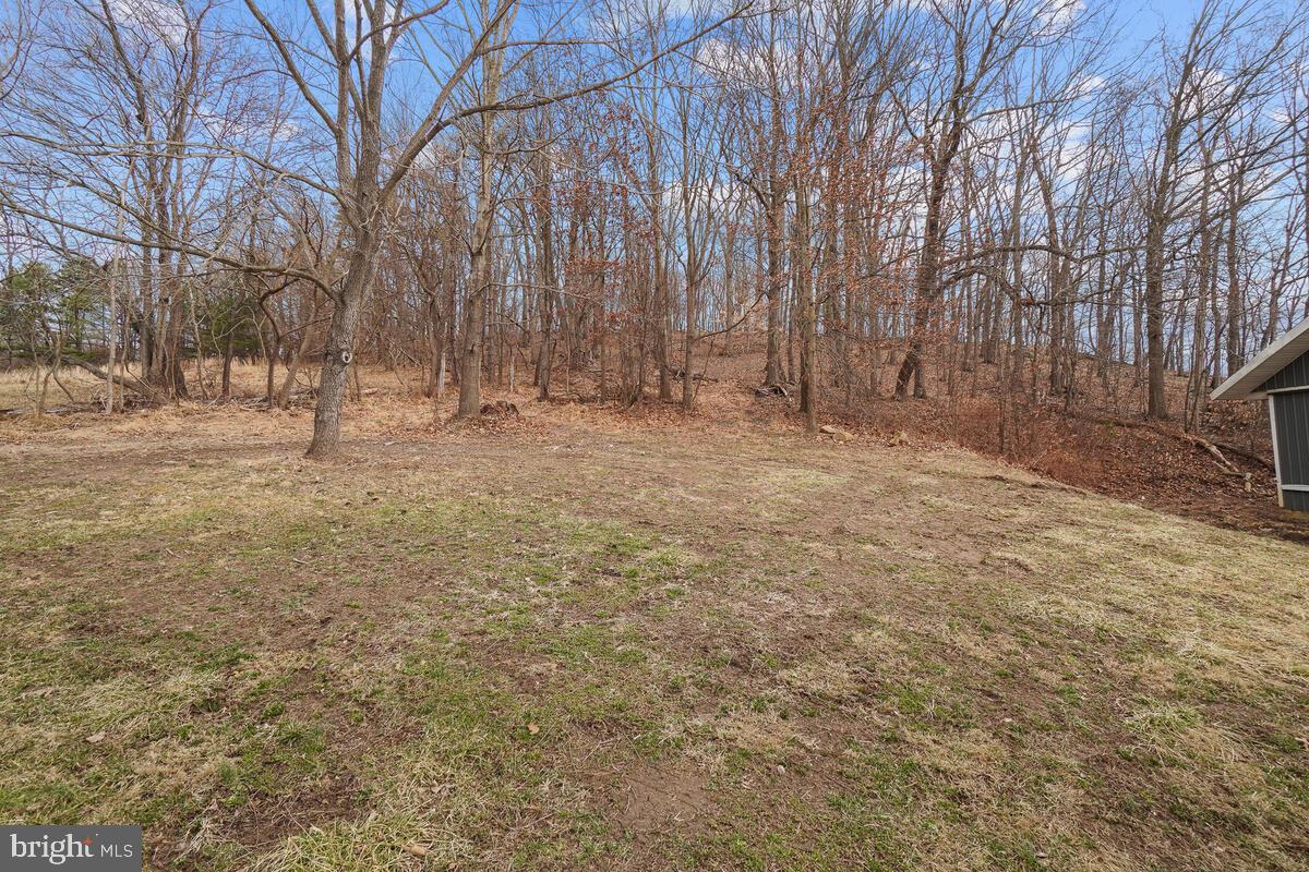 7943 Dollyhyde Road Mount Airy, MD 21771 - Photo 46 of 57 Woods behind Rear Pole Barn