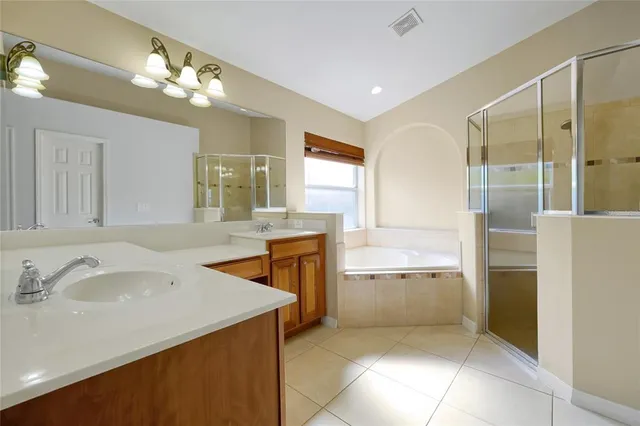 a bathroom with a sink a large mirror and a shower
