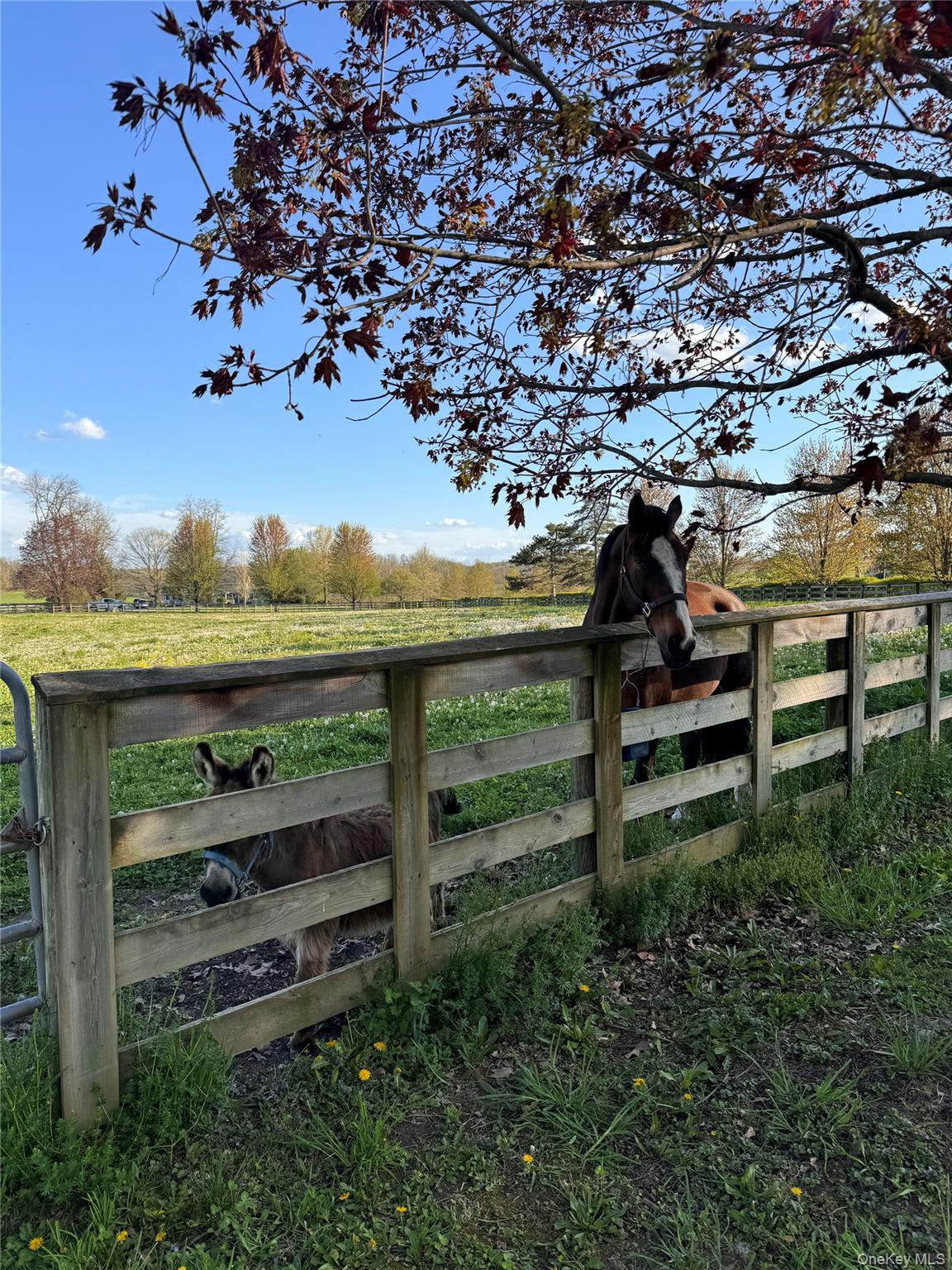 2039 Salt Point Turnpike Salt Point, NY 12578 - Photo 20 of 35 a view of a bench in a garden
