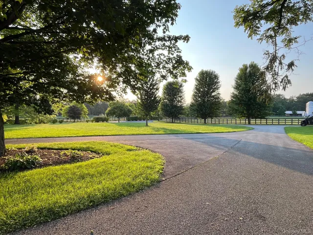 a view of a swimming pool with a yard and trees