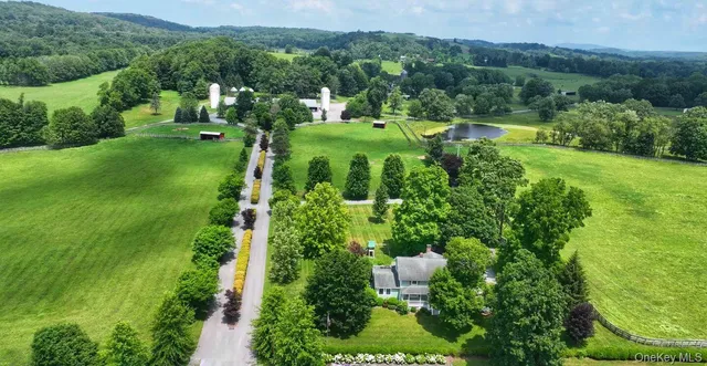 a view of a garden with large trees