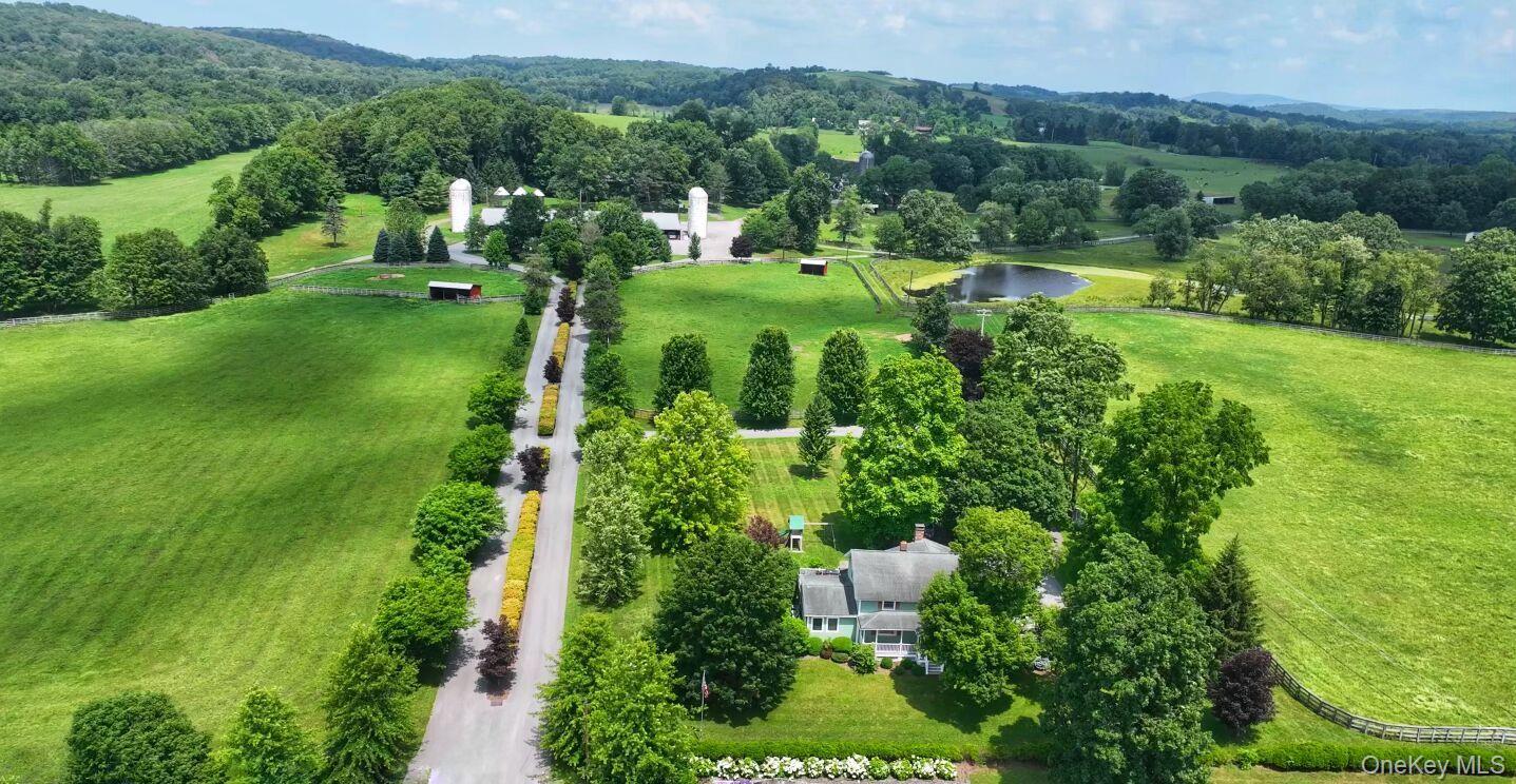 2039 Salt Point Turnpike Salt Point, NY 12578 - Photo 33 of 35 a view of a garden with large trees
