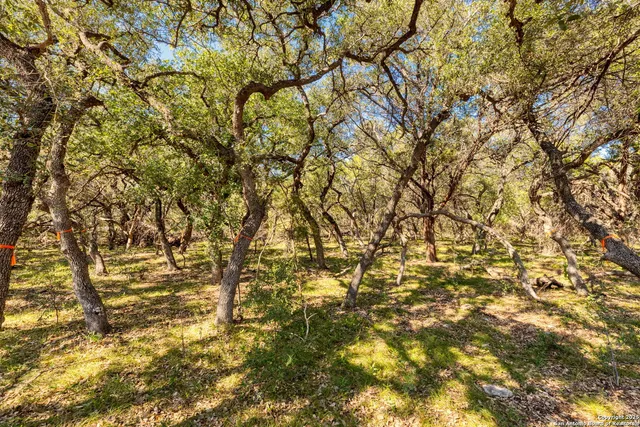 $355,000 | 130 Tremaine, San Antonio, TX 78230