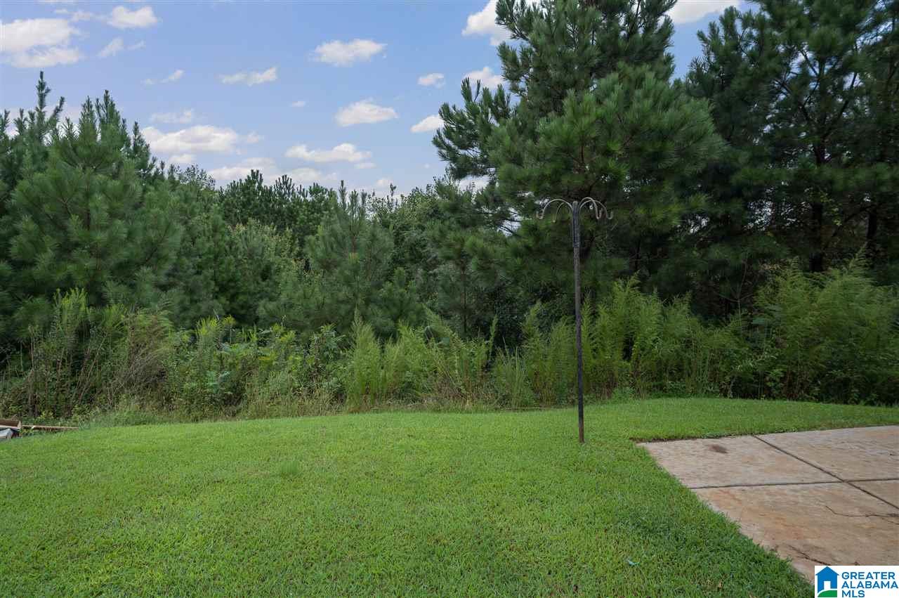 203 Hidden Ridge Drive Odenville, AL 35120 - Photo 36 of 37