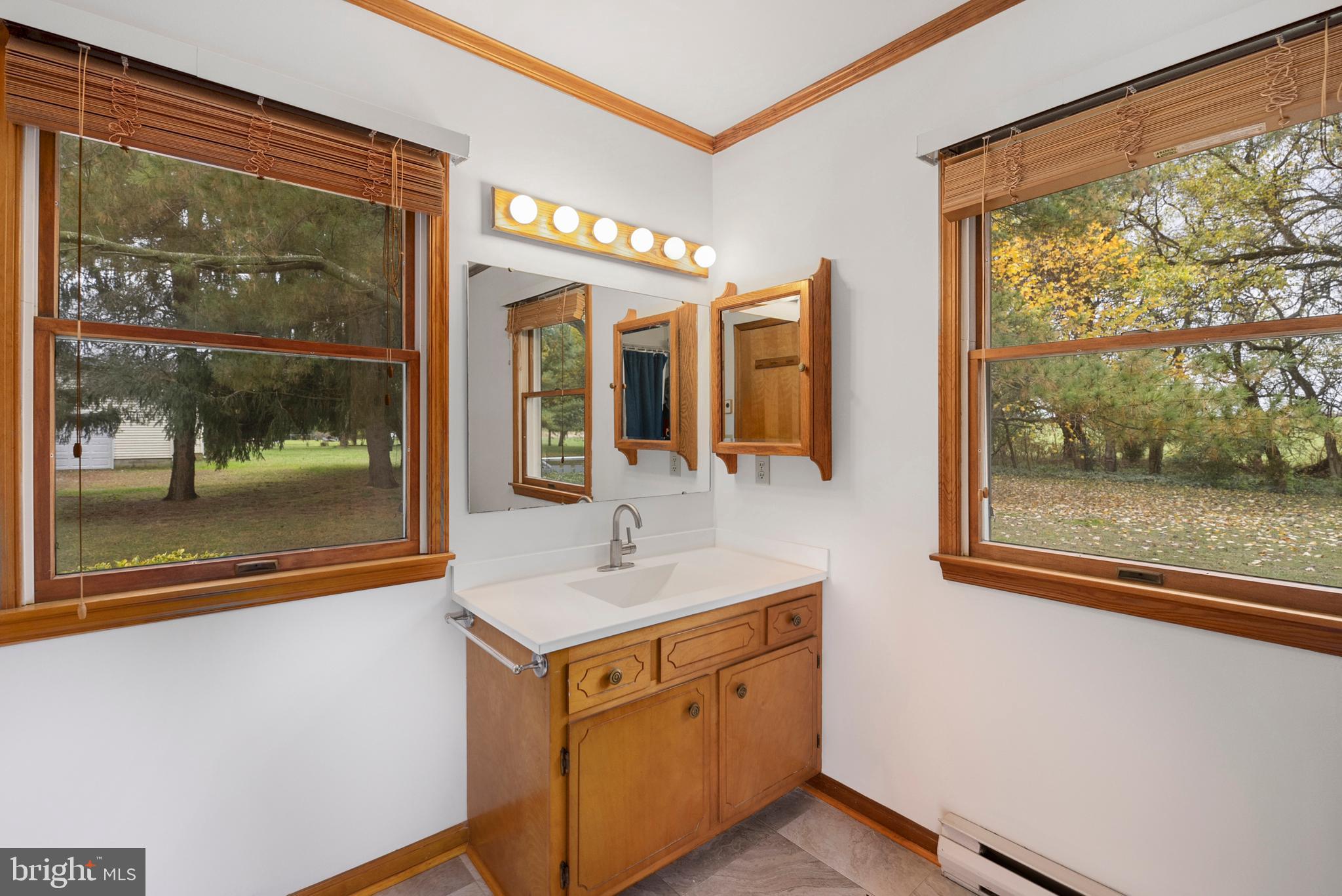 7968 Radcliffe Road Chestertown, MD 21620 - Photo 16 of 21 Master bath