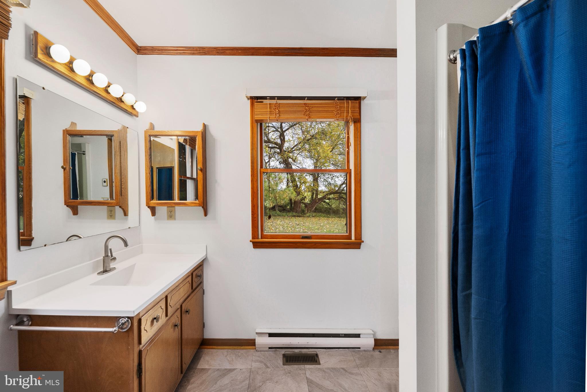7968 Radcliffe Road Chestertown, MD 21620 - Photo 20 of 21 Master bath