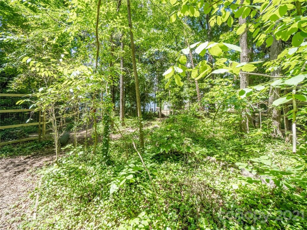 6823 Ware Road Charlotte, NC 28212 - Photo 46 of 47 a view of a lush green forest