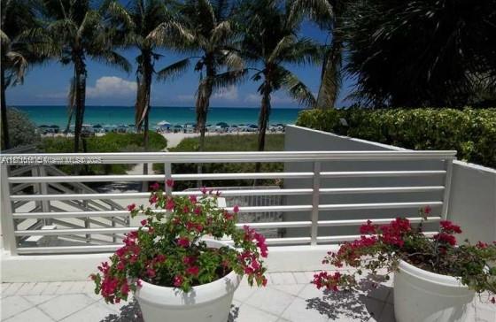 5161 Collins Avenue, Unit 715 Miami Beach, FL 33140 - Photo 25 of 31 a view of a potted flower in a yard