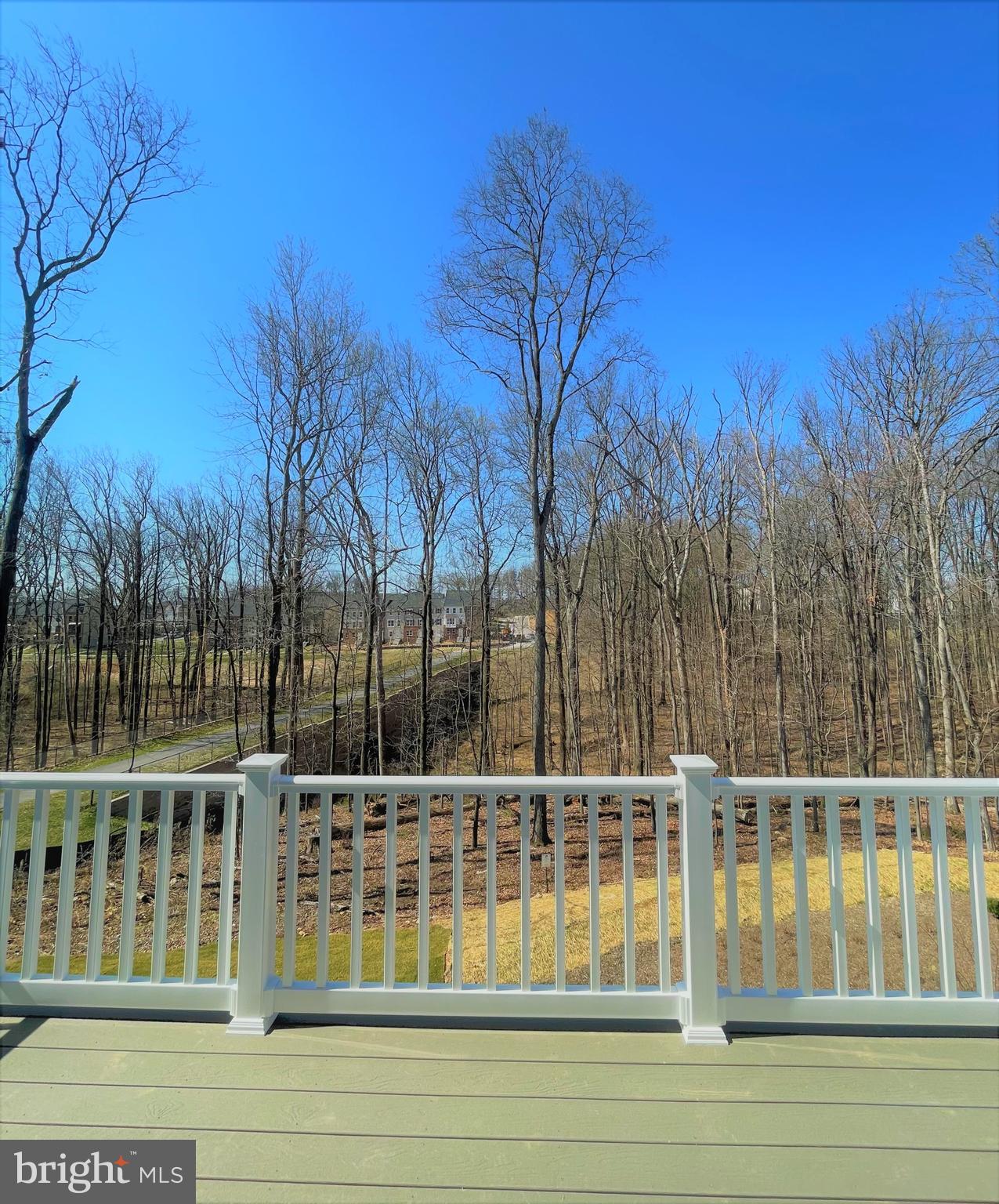 13224 Dowdens Ridge Drive Clarksburg, MD 20871 - Photo 2 of 19 View from rear deck