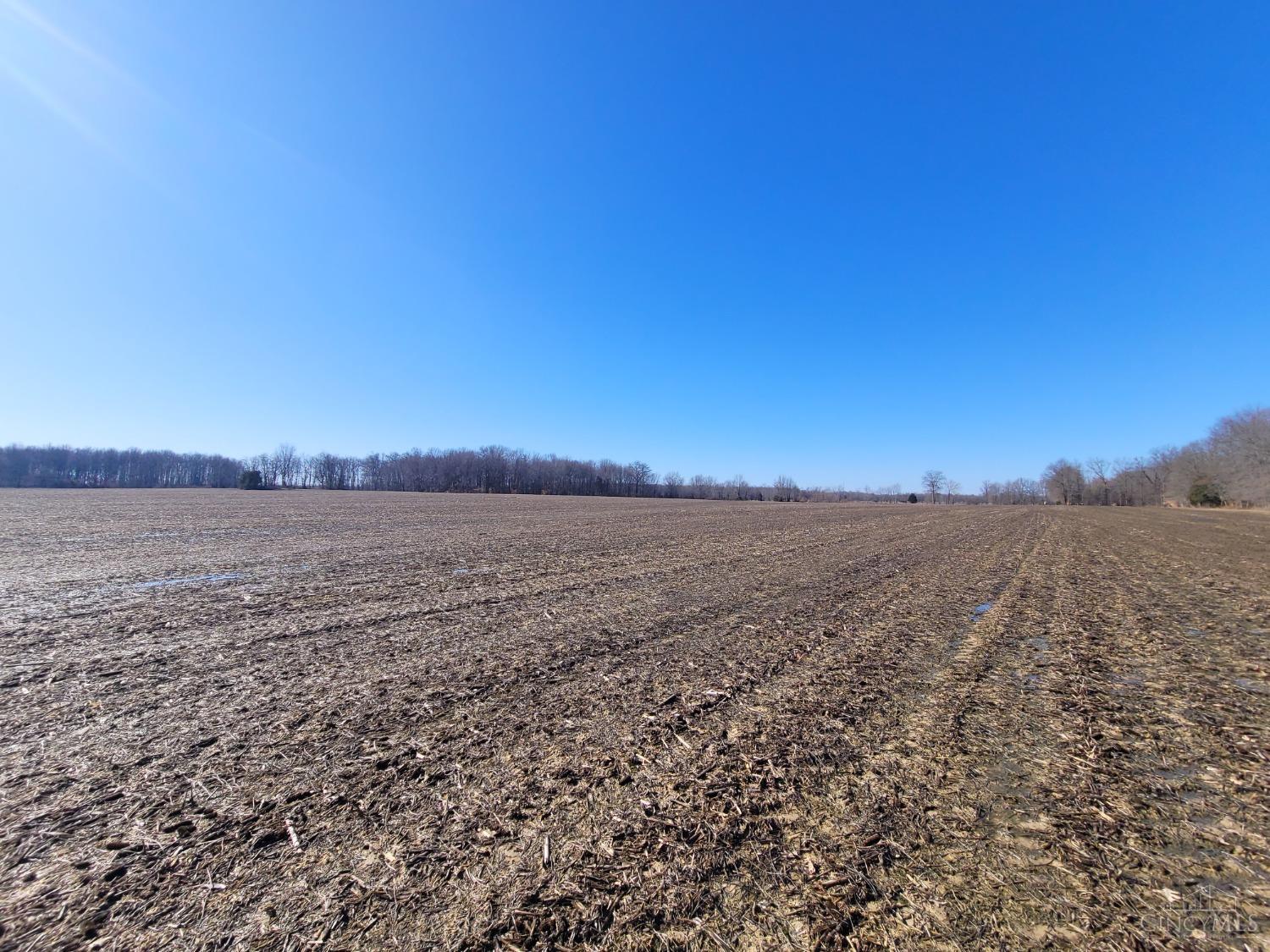 5256 Goose Run Road Georgetown, OH 45121 - Photo 7 of 18