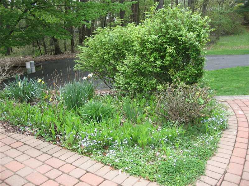 401 McKinney Road Wexford, PA 15090 - Photo 13 of 16 Land/Lot. Brick walk way from the driveway and lots of shrubs and flowers to enjoy.